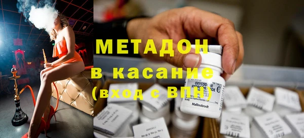 индика Алзамай