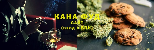индика Алзамай