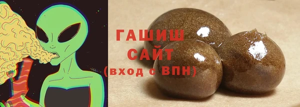 индика Алзамай