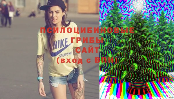 МДМА Алексеевка