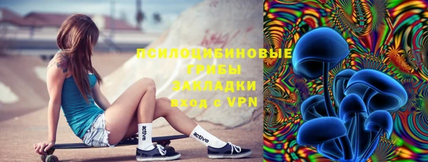 индика Алзамай