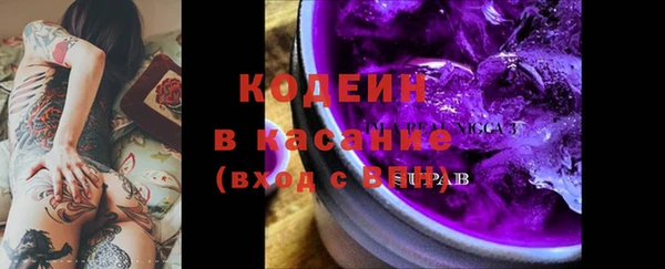 индика Алзамай