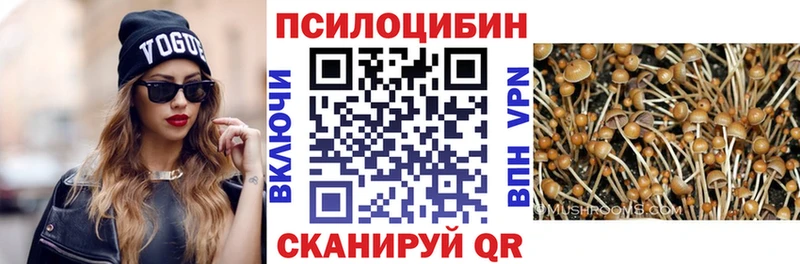 Галлюциногенные грибы мухоморы  где купить наркотик  Чадан 